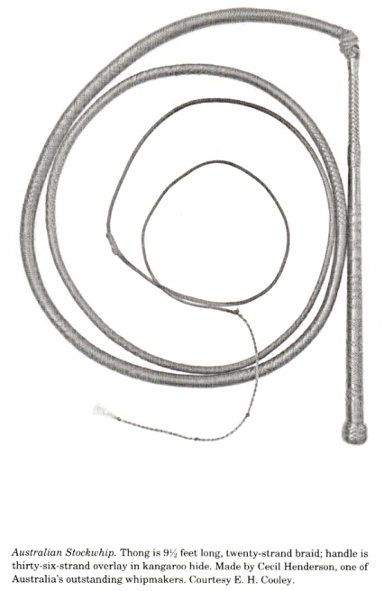 36x20x9' Full Plait Stockwhip