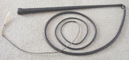 48x24x6' Henderson Stockwhip