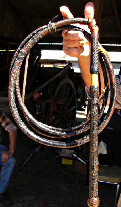 Two Tone  48x24x9' Half Plait Stockwhip