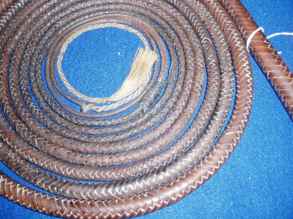 Austral Enterprises Bullwhip