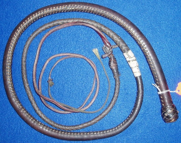 Austral Enterprises Pocket Snake