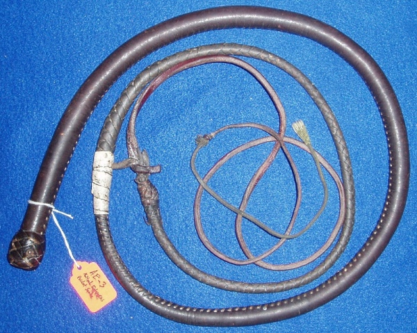 Austral Enterprises Pocket Snake