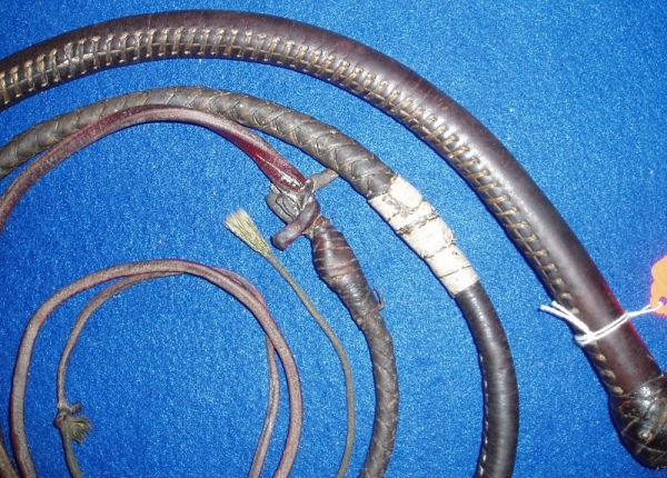 Austral Enterprises Pocket Snake