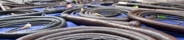 The Cooley Collection