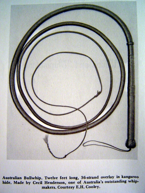 36 Plait Henderson Bullwhip