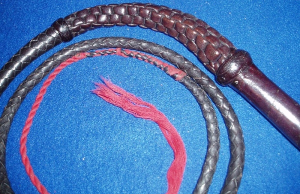 Pakistan Bullwhip