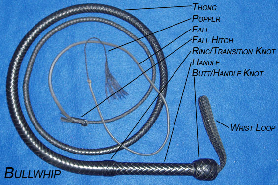 Parts of a Whip Bullwhip
