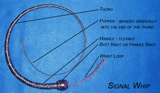Parts of a Whip Signal