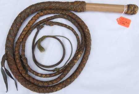 Click this picture for more details