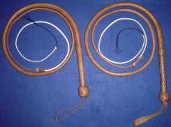 The whips made in the Class