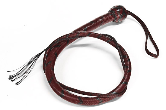 Signal Whip