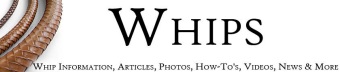 The Whip Blog