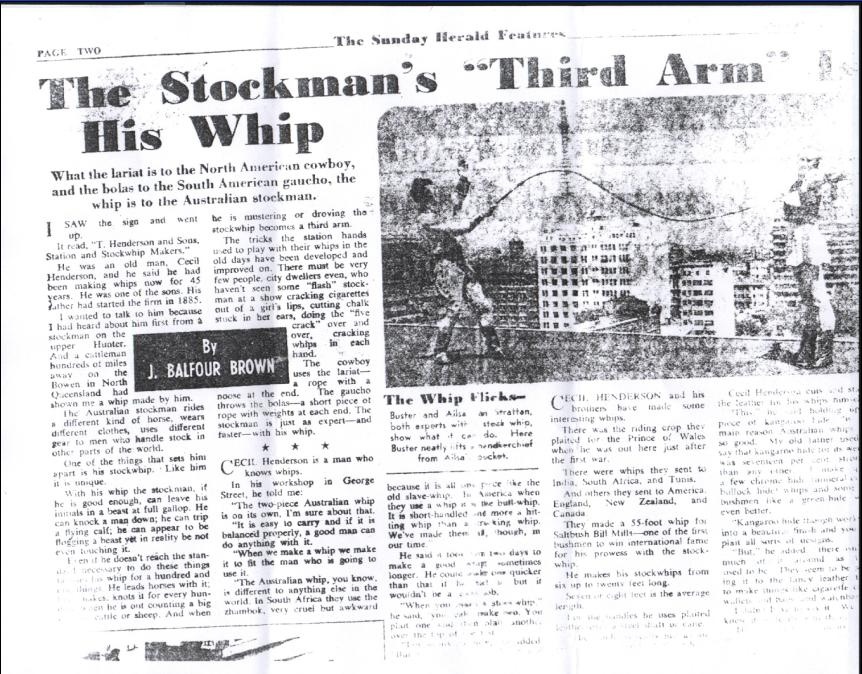 Third Arm Article