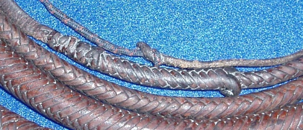 Kangaroo 16x16x8'4" Full Plait Stockwhip