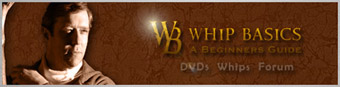 Whip-Basics DVDs