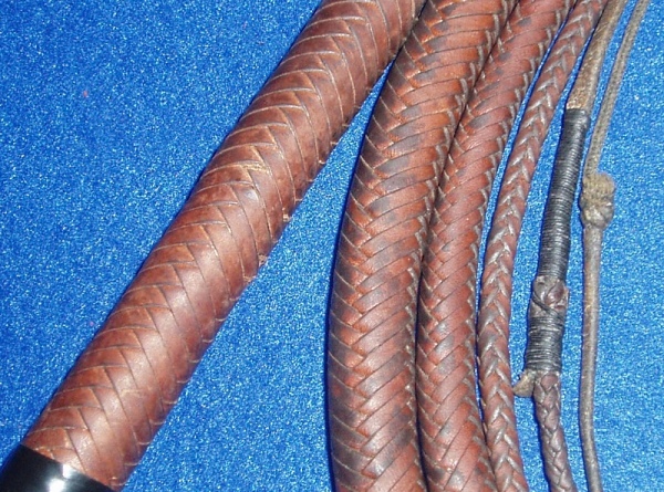 ZE-3: Zairs - 12x12x9’10" full plait stockwhip